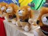 24 estudantes de São Bernardino se formam no Proerd