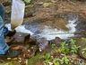 Comunidade realiza ação em prol do meio ambiente no interior de Itapiranga