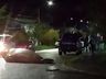 VÍDEO: Elefante-marinho circula por bairro residencial no Chile