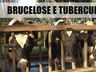 Cidasc amplia certificação de propriedades rurais