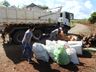 Agricultura realiza coleta de materiais no interior a partir de segunda em SMO