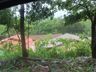 Chuva de granizo causa prejuízos em lavouras da região