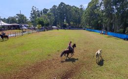 Mais de 30 equipes participam do Rodeio Crioulo em Itapiranga