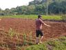 Zootecnista inicia projeto de agroflorestal em Itapiranga 