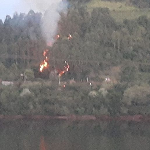 Incêndio atinge área de reflorestamento