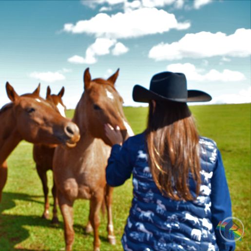 VÍDEO: Relação entre humanos e cavalos traz benefícios para o corpo e mente 