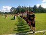 Dourado é campeão Série Ouro do Campeonato Municipal de Itapiranga