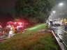 Acidente deixa quatro mortos e dois feridos graves na BR-282