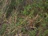 Colisão deixa motociclista com graves ferimentos no trevo de acesso a Campo Erê 