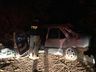 Vídeo: Carro capota, bate em árvore e condutor abandona local em SMOeste