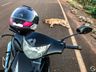 Atropelamento de cachorro deixa mulher ferida em SMOeste