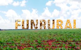 Foto: Reprodução/Rural Pecuária