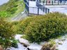 VÍDEO: Chuva de granizo atinge cidades de SC e muda paisagens