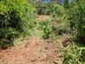 Motorista morre ao tombar caminhão em ribanceira 