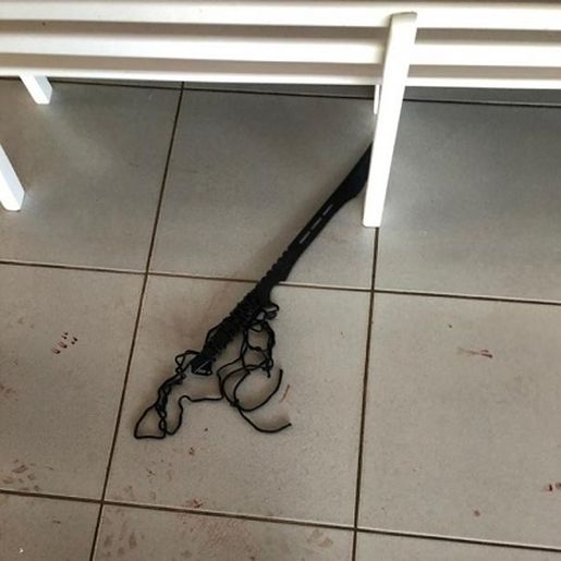 Chacina em Saudades foi planejada há quase um ano