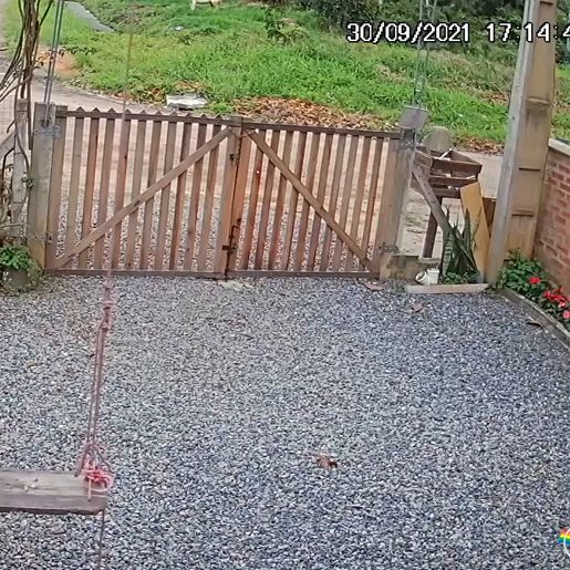 VÍDEO: Charrete desgovernada invade casa em Santa Catarina