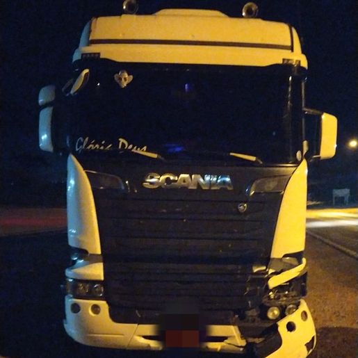 Vaca invade rodovia, é atropelada por caminhão em Descanso 