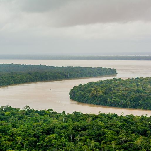 Municípios devem ampliar e intensificar políticas de preservação do meio ambiente