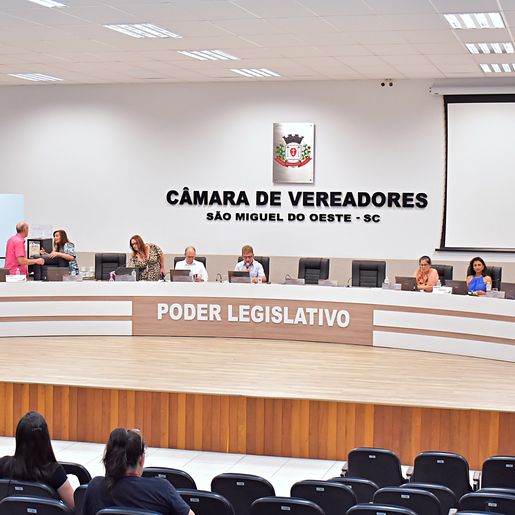  Vereadores pedem que Congresso e STF se posicionem contra ação que descriminaliza o aborto