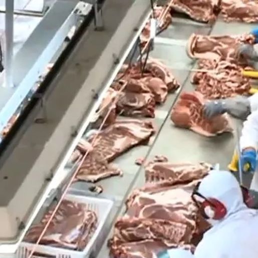 Embarques de carnes de agroindústrias de SC para Rússia e Ucrânia estão paralisados