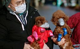 Em meio ao temor do coronavírus, até cães usam máscaras na China
