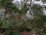Vídeo: Comunidade se mobiliza para limpeza de estragos causados pelo temporal em Belmonte