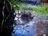 VÍDEO: Frio provoca congelamento da superfície d’água na Serra