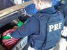 PRF apreende 15kg de maconha em Guaraciaba