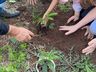 Secretaria trabalha ações da Semana do Meio Ambiente em Guaraciaba