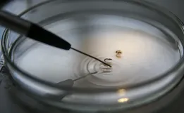 Brasil supera marca de mil mortes de dengue em 2024