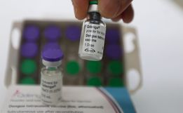 Seis meses após chegada das doses, vacinação contra dengue cobre 29% do público-alvo em SC