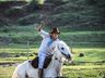 1º Torneio de Tiro de Laço de Vaca Mecânica movimenta Semana Farroupilha