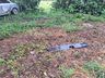 Casal sai ileso de saída de pista na SC-163 em São João do Oeste