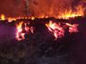 Incêndio florestal mobiliza Corpo de Bombeiros por quatro horas 
