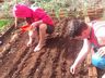 Alunos de Barra Bonita realizam trabalho de pesquisa a campo
