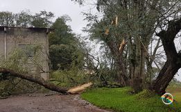 Temporais causam estragos em Itapiranga