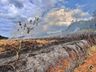 Incêndio atinge área de vegetação e eucaliptos no interior de Bandeirante