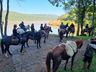 Cavalgada da Chama Crioula reúne mais de 50 cavalarianos