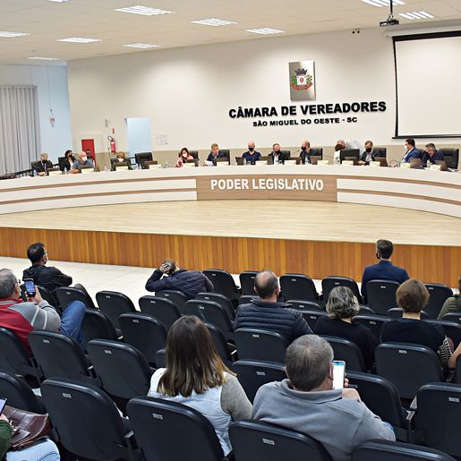 Câmara presta homenagem à Apae durante mês dedicado à prevenção e à identificação de deficiências