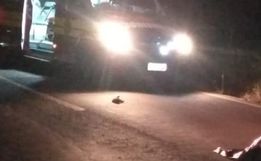 Idoso morre em colisão entre moto e picape em Palma Sola