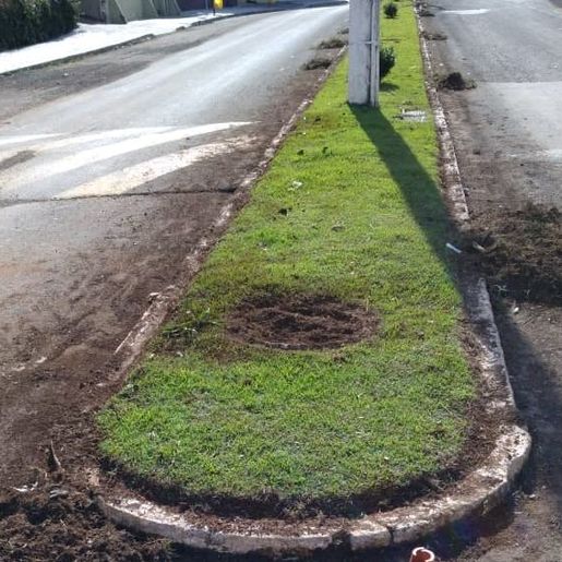 Urbanismo realiza embelezamento do canteiro com plantação de flores