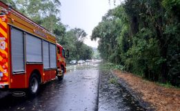 Árvores caídas interditam BR-282 em Maravilha e mobilizam bombeiros