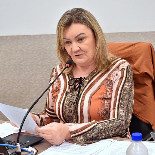 Vereadora pede rótula na esquina da Clínica São Francisco em SMOeste