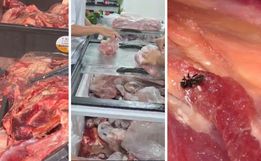 Carne podre e com moscas virava charque e era vendida no comércio de Itajaí