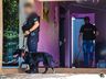 DIC e forças de segurança realizam operação em São Miguel do Oeste