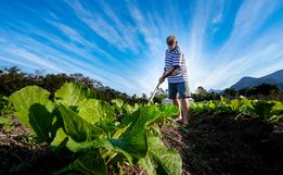 Governo do Estado investe R$ 36,9 milhões em apoio ao setor agropecuário catarinense