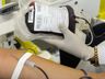 Hemosc está com maioria das tipagens com estoque adequado