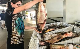 Reunião para definir Feira do Peixe será nesta terça em SMOeste