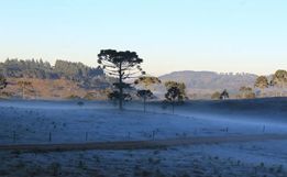 São Miguel do Oeste registra 2,15°C em nova onda de frio em Santa Catarina