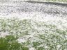 "Talvez terei que acionar o seguro agrícola" relatou agricultora de Palma Sola